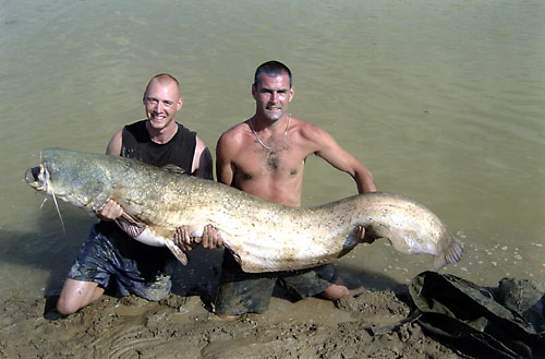 Catfish held by two men