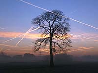 Photo of sunrise
